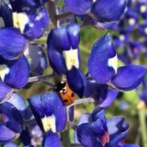 Meet your Posher, Karin